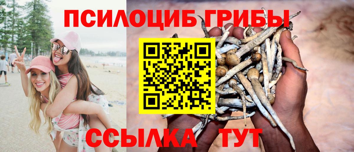 Галлюциногенные грибы прущие грибы  Вход с VPN  Соль-Илецк 
