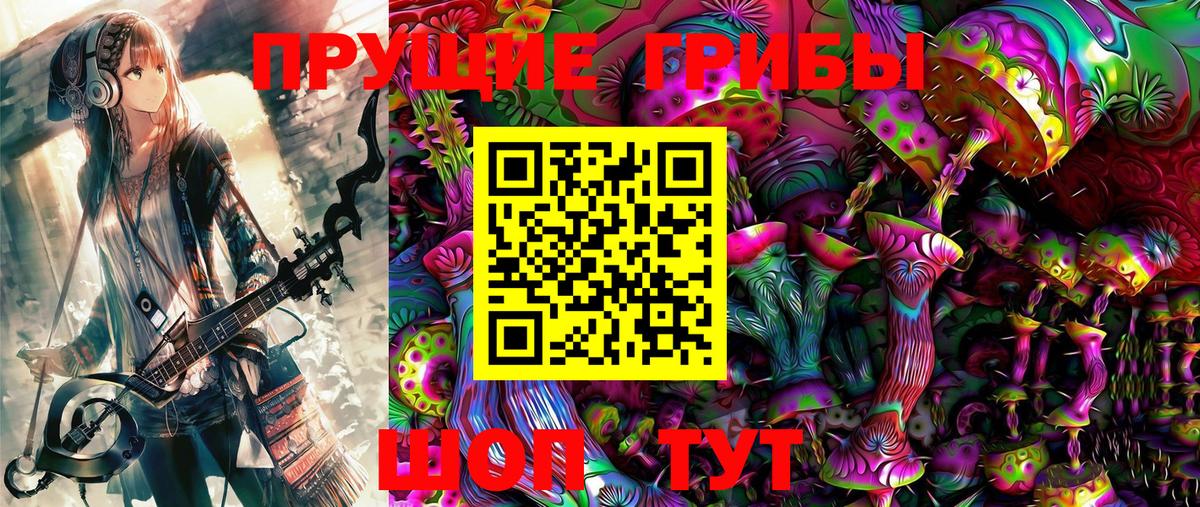 Псилоцибиновые грибы Psilocybine cubensis Соль-Илецк